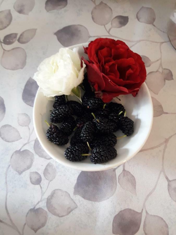 Pecore Ribelli Мира Екстериор снимка